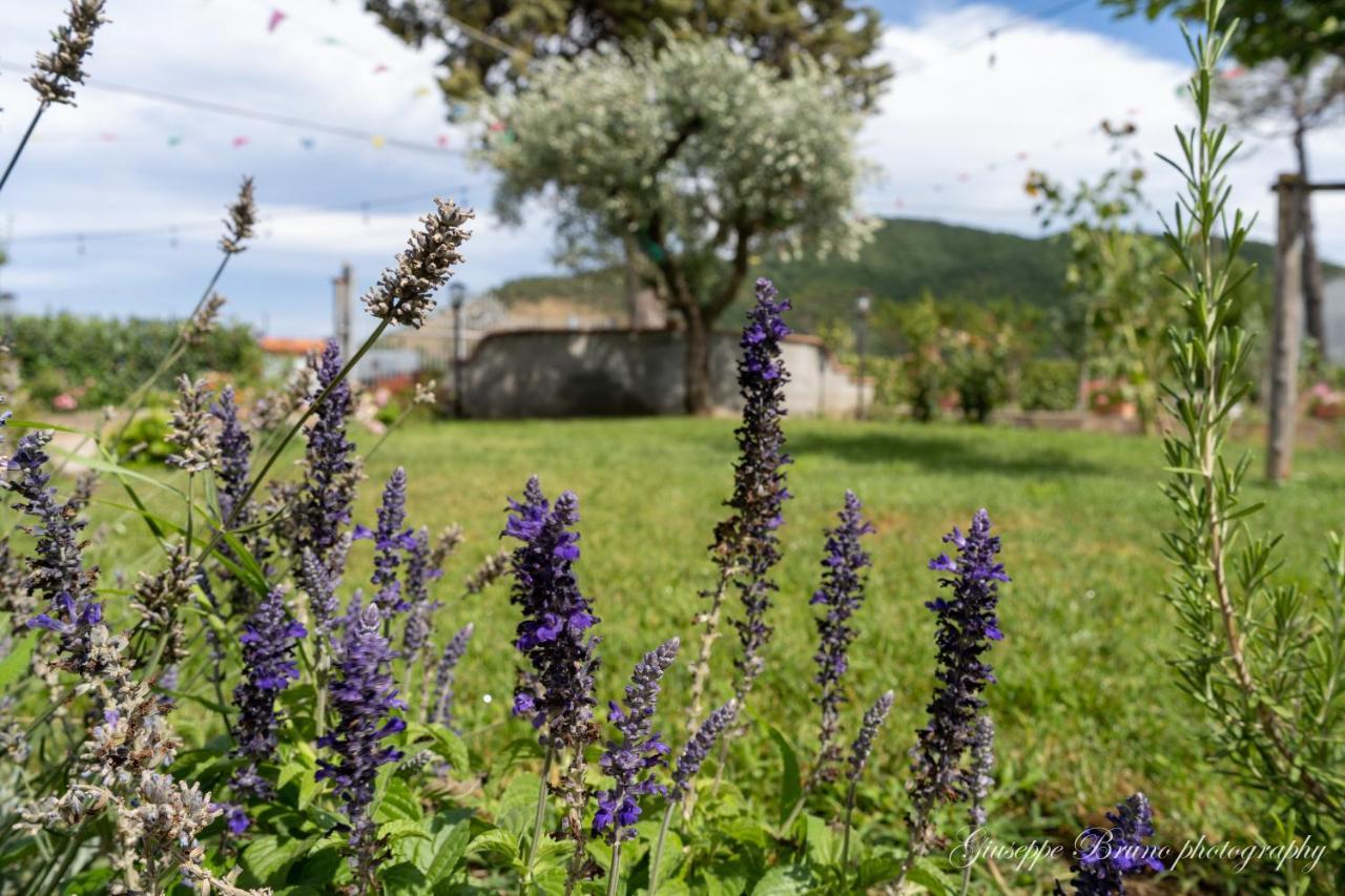 L'Antico Mercato B&B Sarconi Exterior photo